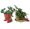 Immagine di Pianta di Fragola in vaso da 14cm, altezza 35-40 cm
