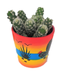 Immagine di Pianta grassa in vaso da 10 cm a tema Messico, 1 pezzo assortito, altezza 30-35 cm