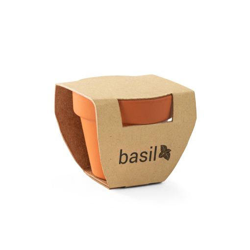 Immagine di Basili. vaso in terracotta con semi di basilico naturale