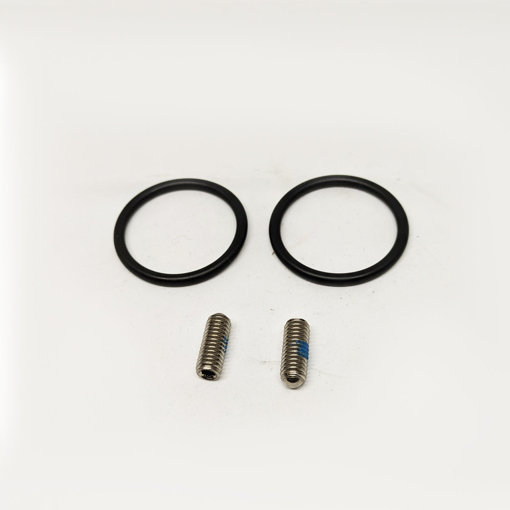 Immagine di Ricambio kit oring con vite a perno per miscelatore doccia hansgrohe 98372000