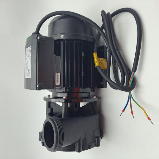 Immagine di Ricambio pompa lp250 230v per vasche idromassaggio varie aziende 930109411